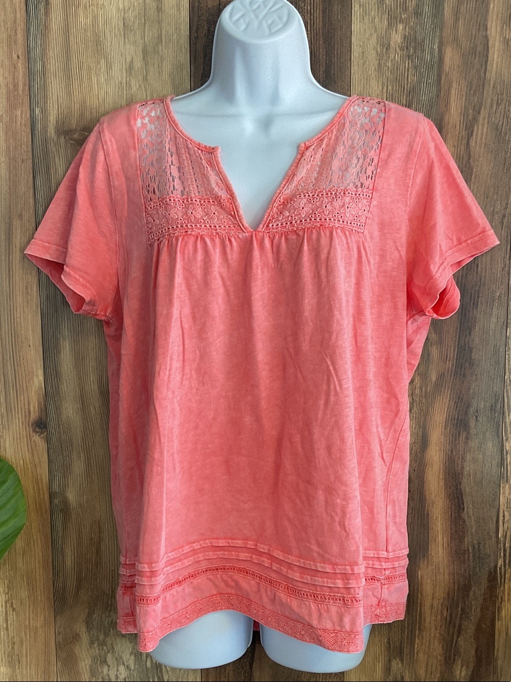 easel Coral Lace Yoke Short Sleeve V Neck Top S 219B